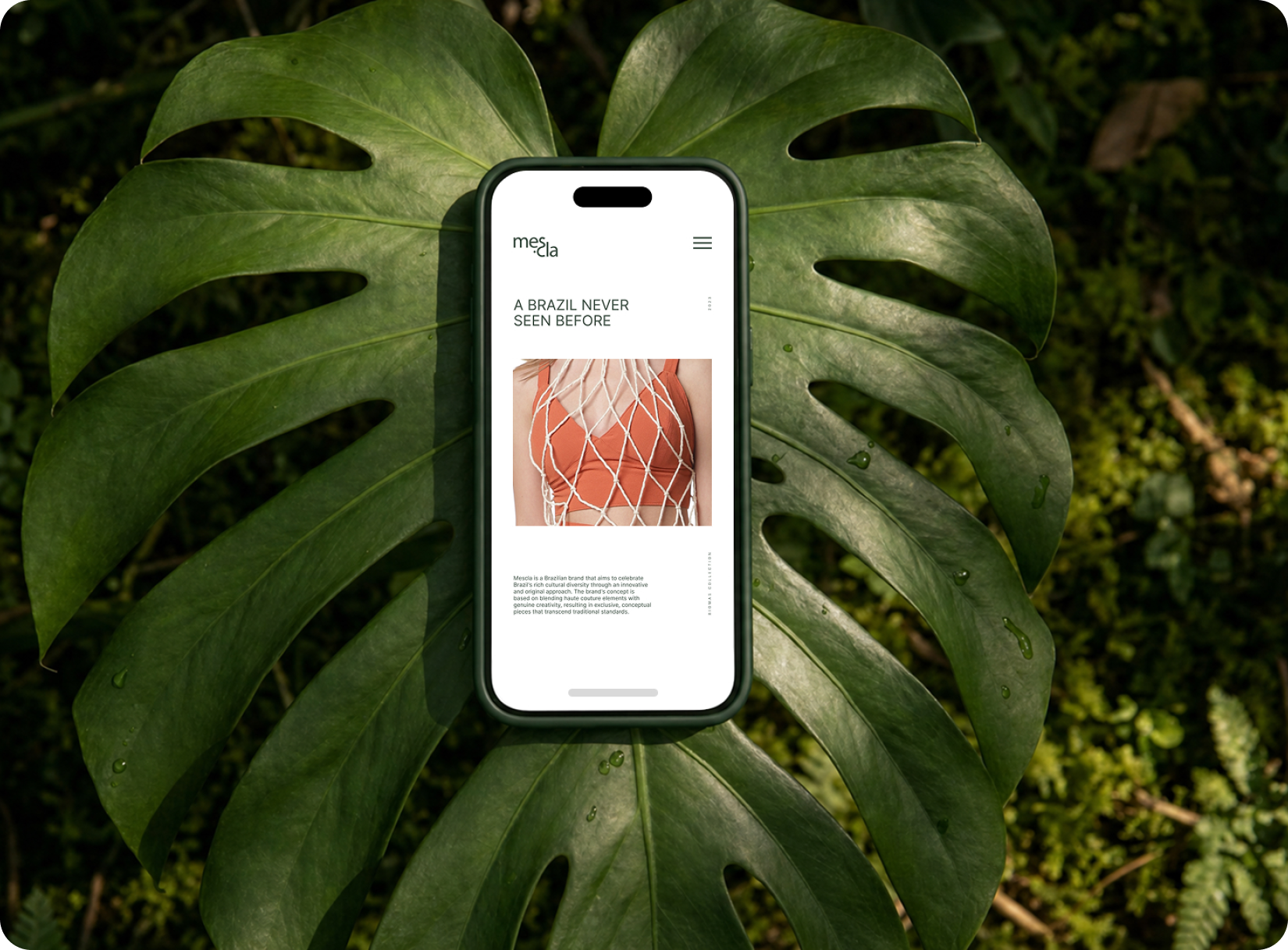 Projeto Mescla
